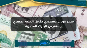 سعر الريال السعودي مقابل الجنيه المصري يستقر في البنوك المصرية